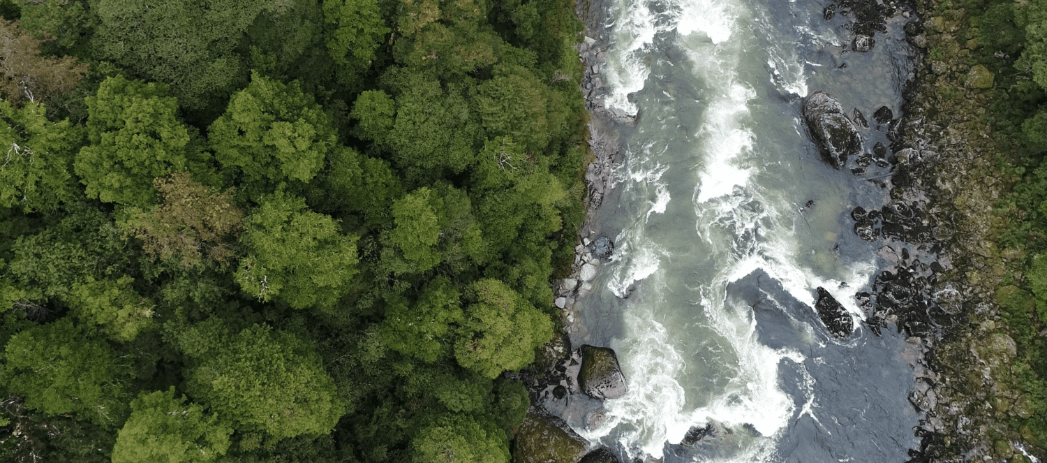Nueva legislación para la naturaleza ¿Qué es la ley SBAP y cuál es su importancia para Chile? Un Resumen