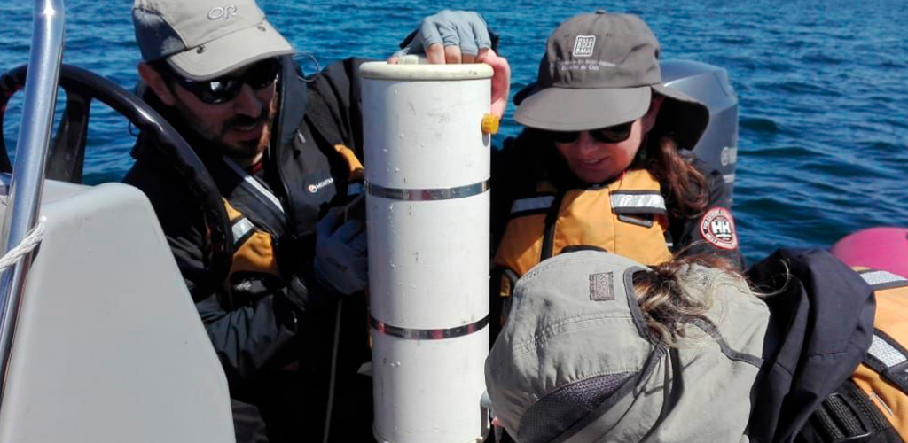 Res. Ex. 1.338 / 2025 Modifica Instrucciones Para La Gestión de Denuncias Ingresadas a La SMA