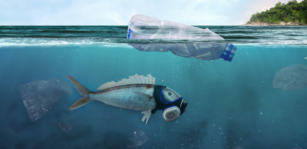 Impacto Ambiental Concepto, Evaluación y Criterios de Análisis según la Normativa Chilena - Un Ensayo de Opinión