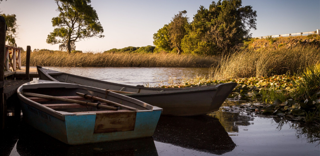 Realizan Encuentro Programático Ambiental Para Propuesta Presidencial