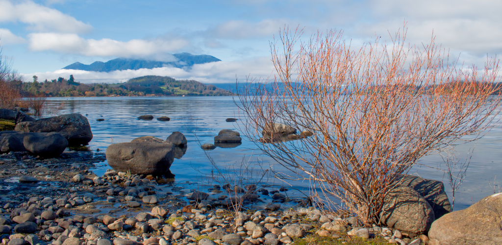 Ley de Humedales Urbanos 21.202 y Su Reglamento