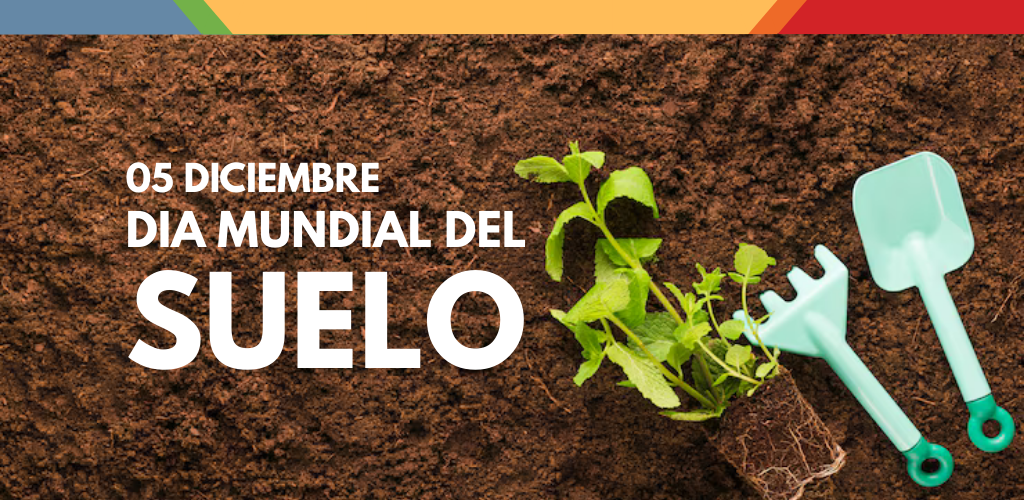 Día Mundial del Suelo