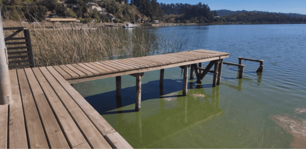 Lago Vichuquén Crisis Ambiental y Lecciones No Aprendidas.