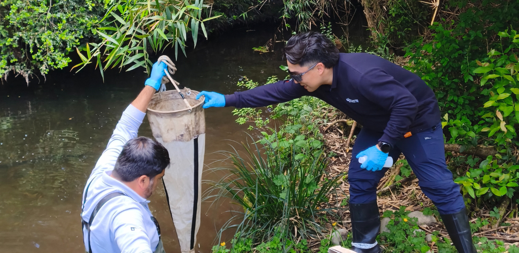 Monitoreo Participativo SURALIS y Comunidad de Panguipulli