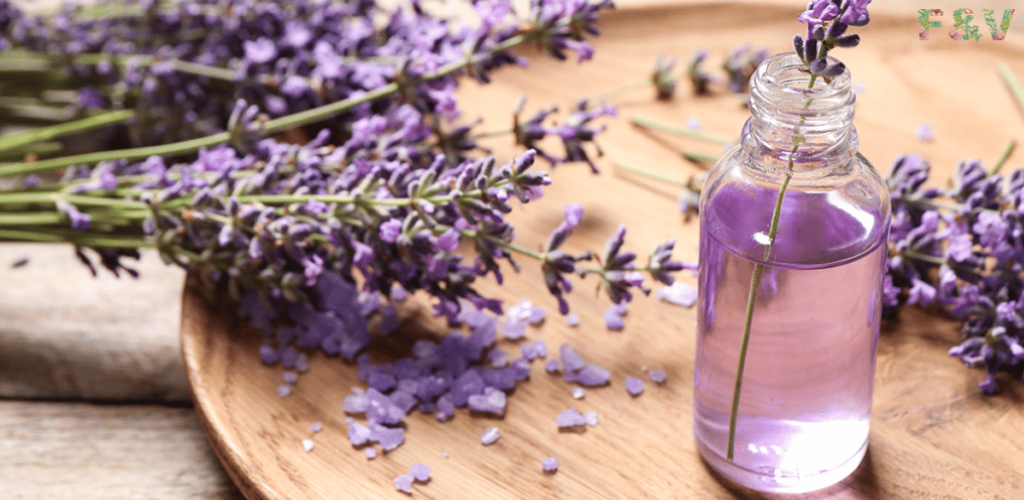 Hidrolatos el agua mágica de las plantas que transforma tu bienestar!